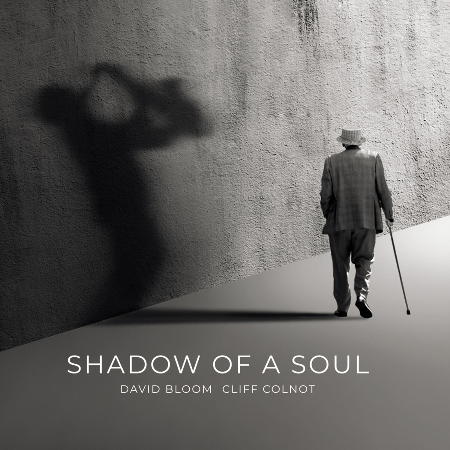 Shadow of a Soul Cover 1500x1500px 300dpi